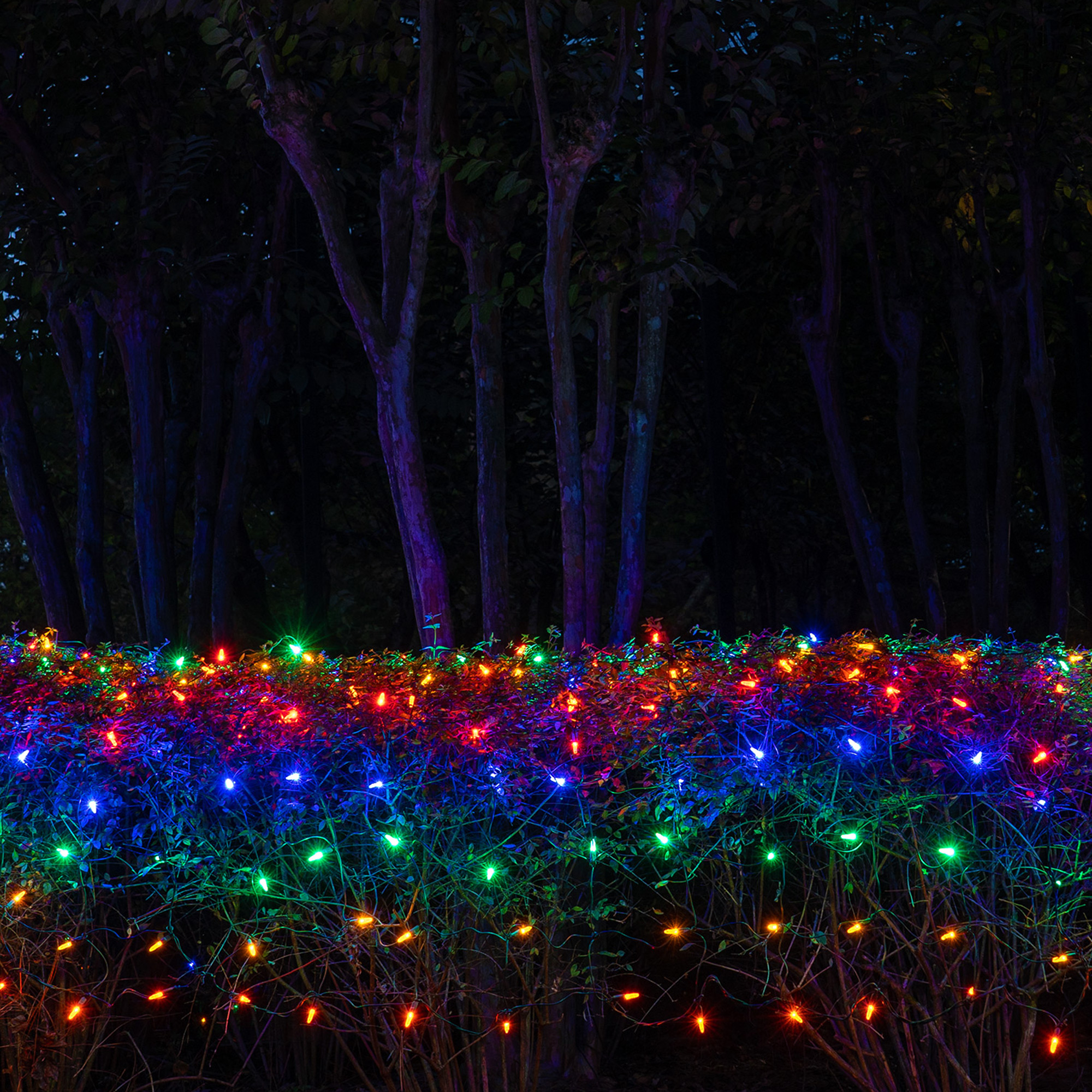 Multicolor M5 LED Christmas Net Lights on Green Wire - Wintergreen
