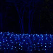 4' x 6' Blue M5 LED Christmas Net Lights, 100 Lights on Green Wire