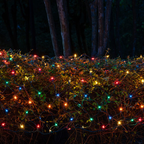 4' x 6' Multicolor Mini Christmas Net Lights, 150 Lights on Green Wire