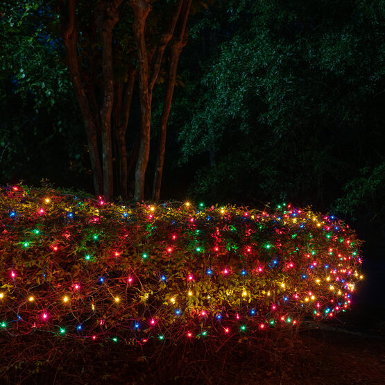 Multicolor with Pink Mini Christmas Net Lights on Green Wire ...