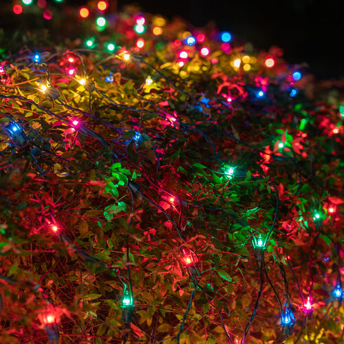4' x 8' Multicolor Mini Christmas Net Lights, 200 Lamps on Green Wire