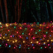 4' x 8' Multicolor Mini Christmas Net Lights, 200 Lamps on Green Wire