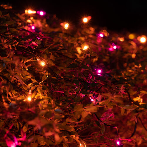 4' x 6' Purple, Orange Mini Christmas Net Lights, 150 Lights on Black Wire