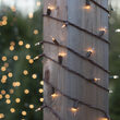 50 Viviluxe TM Clear Christmas Mini Lights, Brown Wire, 5.5" Spacing
