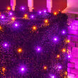 4' x 6' Purple, Orange 5mm LED Christmas Net Lights, 100 Lights on Black Wire