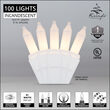 100 Clear Frost Mini Lights, White Wire, 6" Spacing