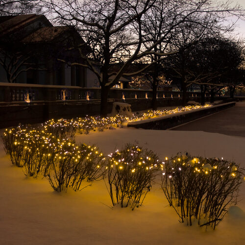 100 Gold Frost Mini Lights, Green Wire, 6" Spacing