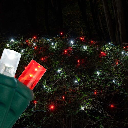 4' x 6' Red, Cool White 5mm LED Christmas Net Lights, 100 Lights on Green Wire