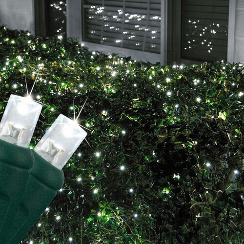 Cool White Twinkle 5mm Led Christmas Net Lights On Green Wire Wintergreen Corporation 7655