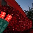 4' x 6' Red 5mm LED Christmas Net Lights, 100 Lamps on Green Wire