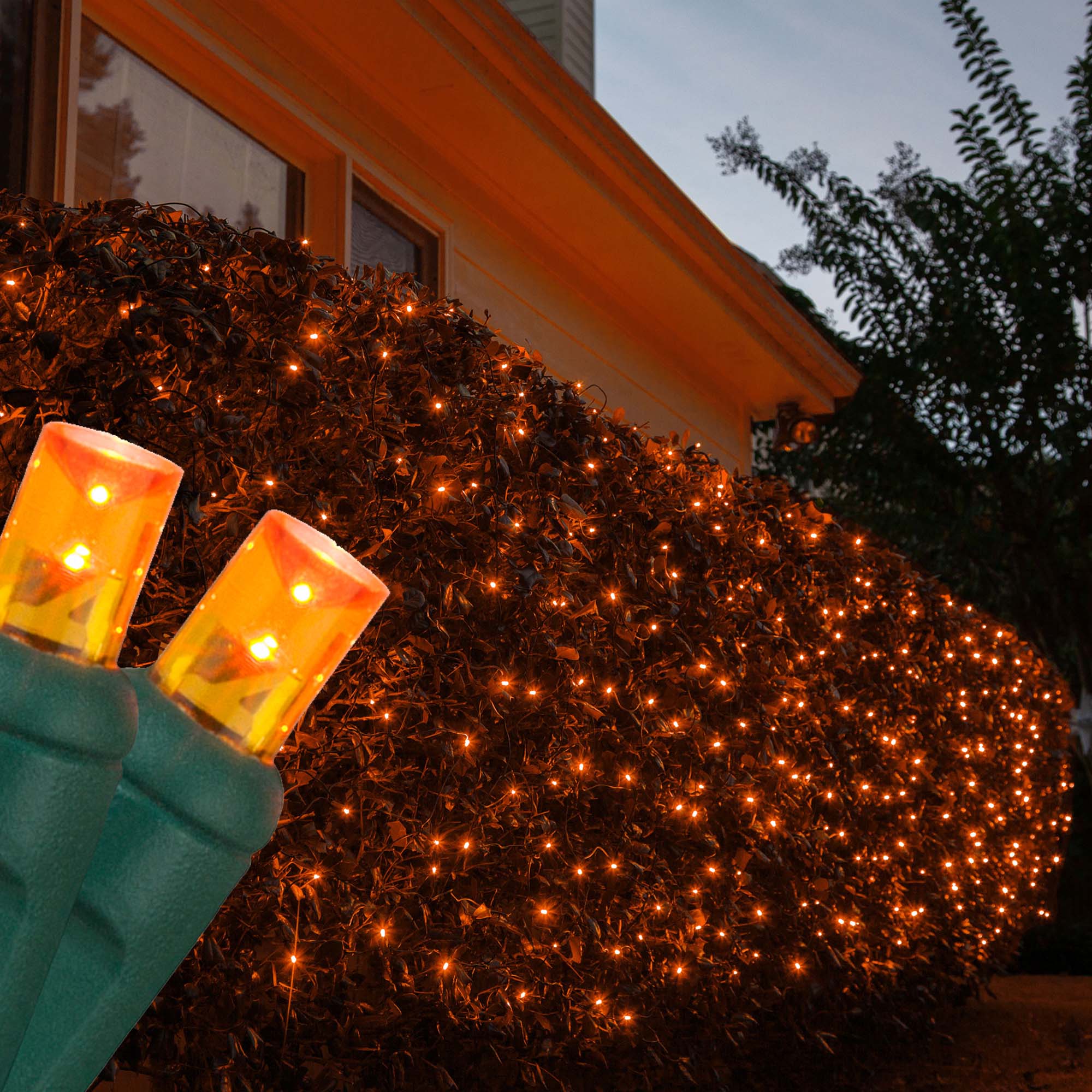 Wintergreen deals christmas lights