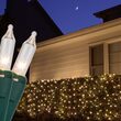 4' x 6' Clear Mini Christmas Net Lights, 150 Lights on Green Wire