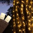 2' x 6' Warm White 5mm LED Christmas Trunk Wrap Lights, 100 Lamps on Brown Wire