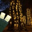 2' x 6' Warm White 5mm LED Christmas Trunk Wrap Lights, 100 Lights on Green Wire