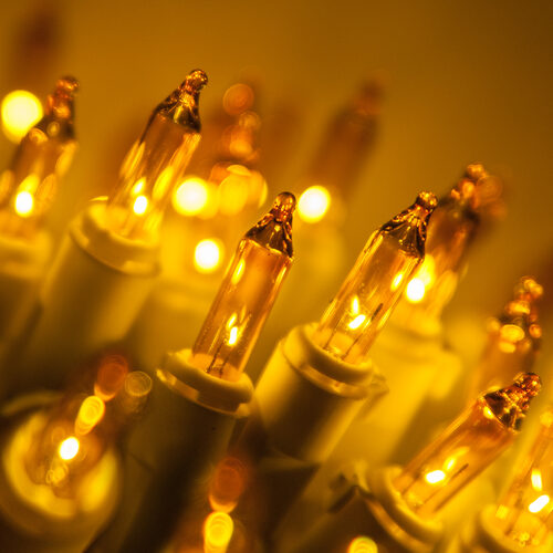 50 Gold Mini Lights, White Wire, 4" Spacing