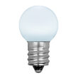 G20 Opaque Acrylic Cool White LED Globe Light Bulbs