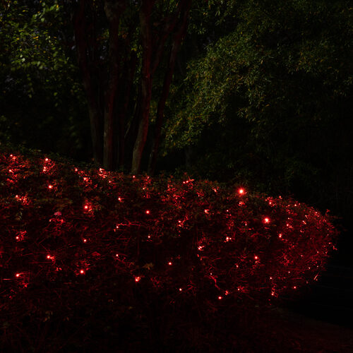 4' x 6' Red SoftTwinkle 5mm LED Christmas Net Lights, 70 Lights on Green Wire