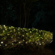4' x 6' Warm White SoftTwinkle 5mm LED Christmas Net Lights, 70 Lights on Green Wire