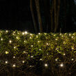 4' x 6' Warm White SoftTwinkle 5mm LED Christmas Net Lights, 70 Lights on Green Wire