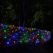 4' x 6' Multicolor SoftTwinkle 5mm LED Christmas Net Lights, 70 Lights on Green Wire