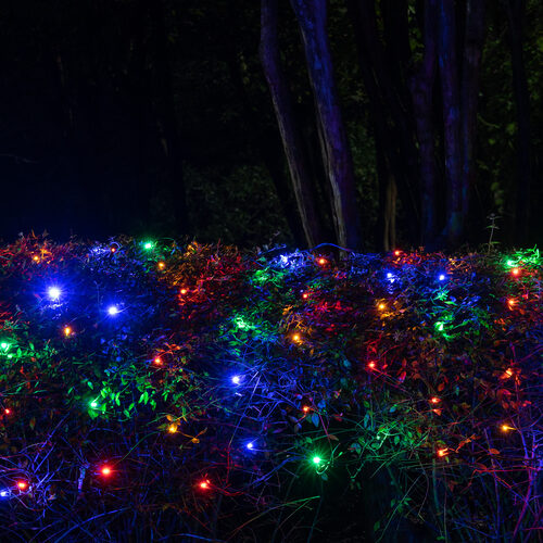 4' x 6' Multicolor SoftTwinkle 5mm LED Christmas Net Lights, 70 Lights on Green Wire