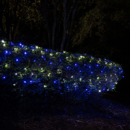 4' x 6' Blue, Cool White SoftTwinkle 5mm LED Christmas Net Lights, 70 Lights on Green Wire