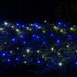4' x 6' Blue, Cool White SoftTwinkle 5mm LED Christmas Net Lights, 70 Lights on Green Wire