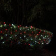 4' x 6' Red, Cool White SoftTwinkle 5mm LED Christmas Net Lights, 70 Lights on Green Wire