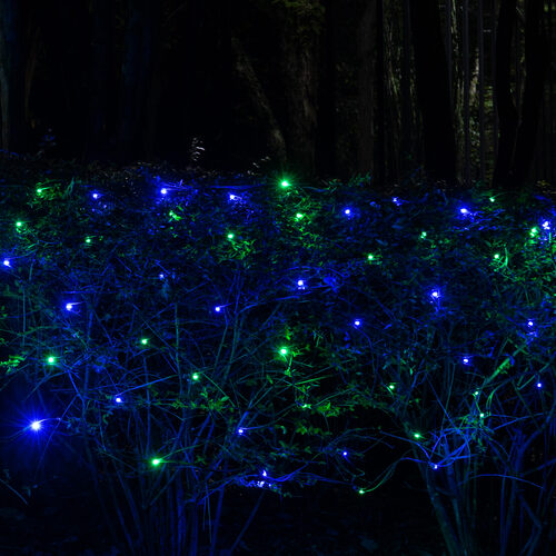 Wintergreen 19258 20 Battery Operated Blue 5mm LED Lights, Green Wire