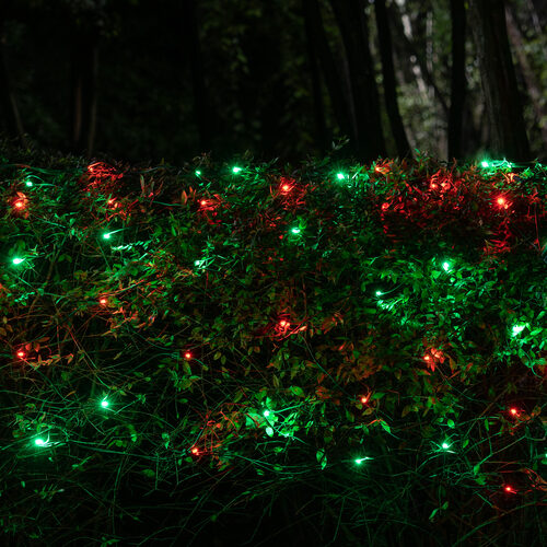 4' x 6' Red, Green SoftTwinkle 5mm LED Christmas Net Lights, 70 Lights on Green Wire