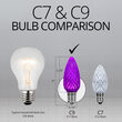 C9 Purple Kringle Traditions LED Bulbs