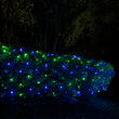 4' x 6' Blue, Green SoftTwinkle 5mm LED Christmas Net Lights, 70 Lights on Green Wire
