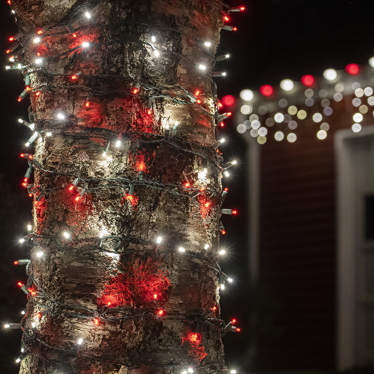 red christmas lights with red wire