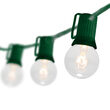 25' Commercial Clear Patio String Light Set with 16 G40 Bulbs on Green Wire