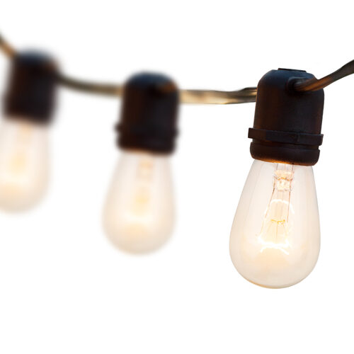 54' Commercial Clear Patio String Light Set with 24 S14 Bulbs on Black Wire
