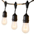 Commercial Clear Patio String Light Set with S14 Bulbs on Black Wire with Drops 