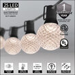 25' Warm White OptiCore LED Patio String Light Set with 25 G50 Bulbs on Black Wire, E12 Base
