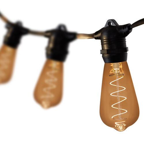 30' FlexFilament TM LED Patio String Light Set with 10 3W ST64 Edison Bulbs on Black Wire