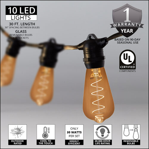 30' FlexFilament LED Patio String Light Set with 10 3W ST64 Edison Bulbs on Black Wire