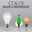 C7 Transparent Shatterproof Green FlexFilament LED Bulbs 