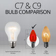 C7 Transparent Shatterproof Red FlexFilament LED Bulbs 