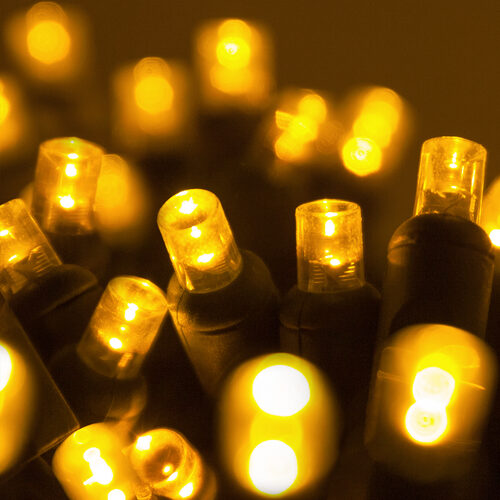 25 5mm Gold Commercial LED Lights, Green Wire, 4" Spacing