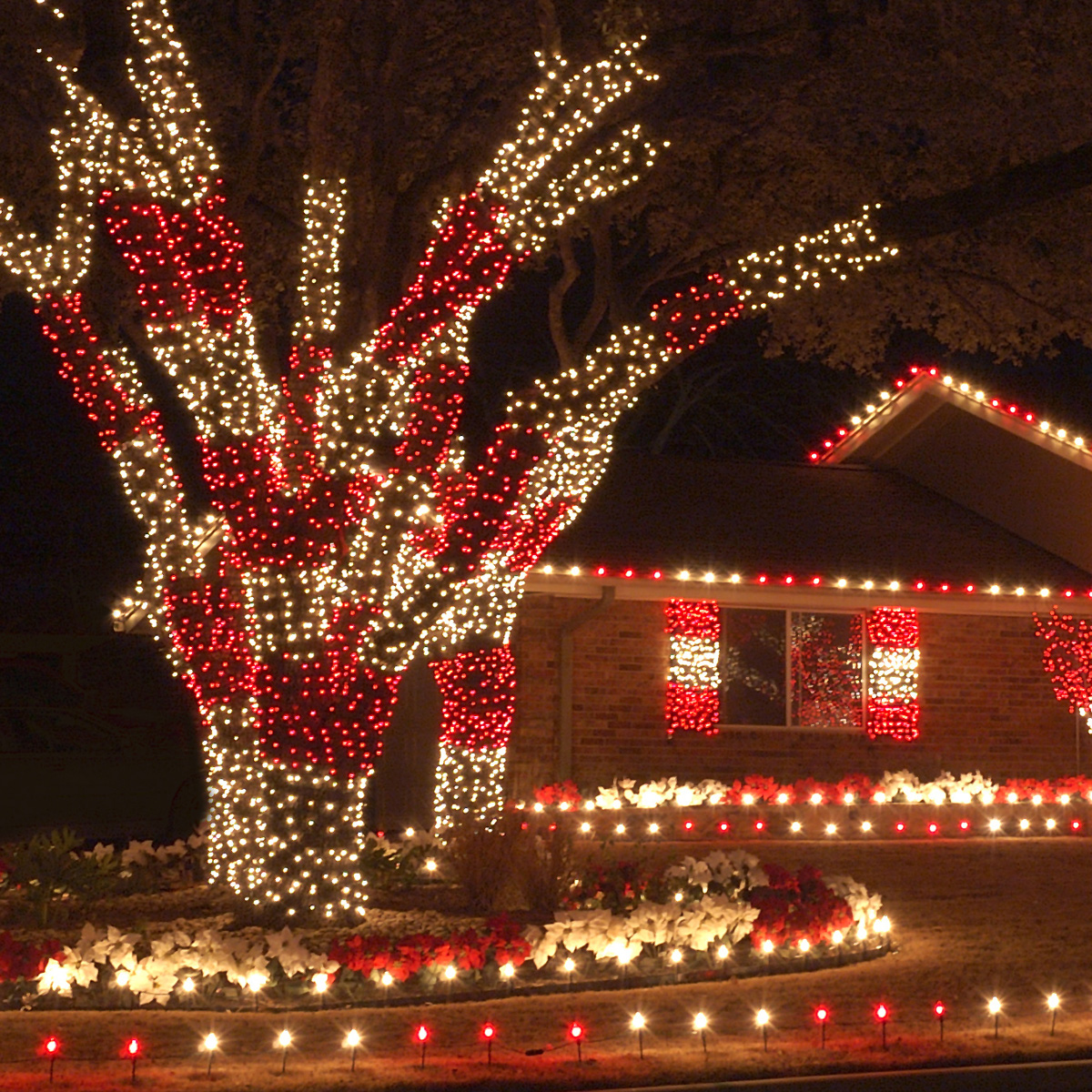 Red christmas lights store with red wire