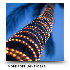 Rope Light Ideas