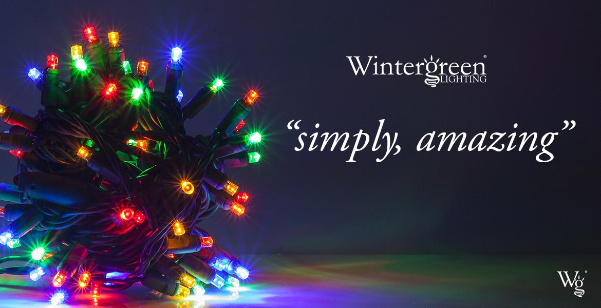 Wintergreen Lighting Brand by Wintergreen Corporation