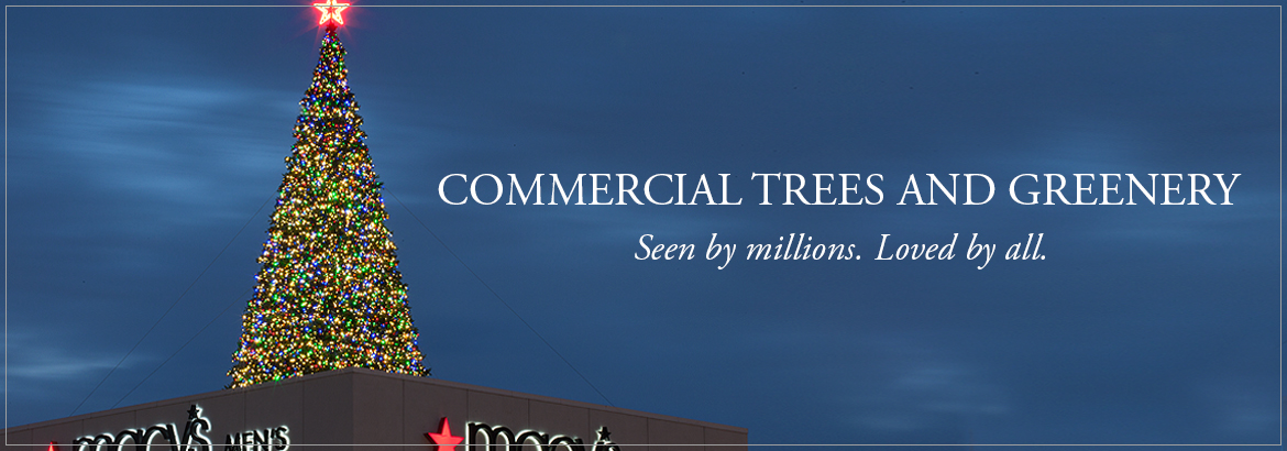 Commercial Christmas Trees