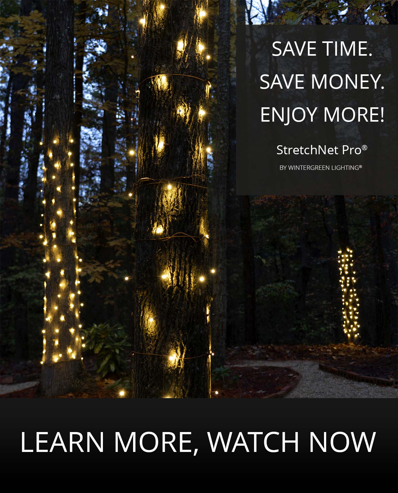 StretchNet Pro Net Lights For Wrapping Trees Quickly