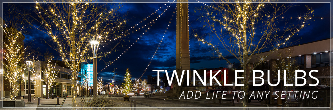 Twinkle Light Bulbs