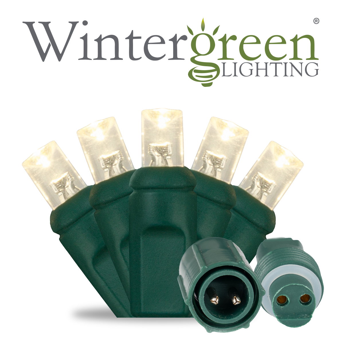 Watertight Commercial Christmas Lights