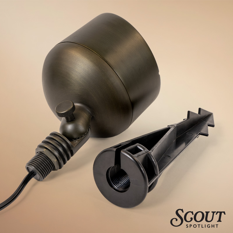 Scout Spotlight with Stake